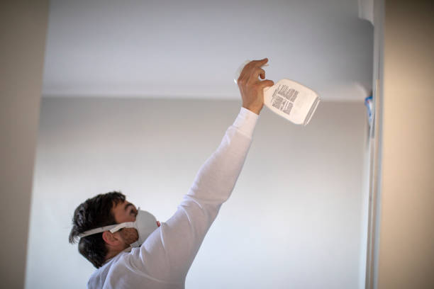 Best Black Mold Remediation in Ridgefield, WA