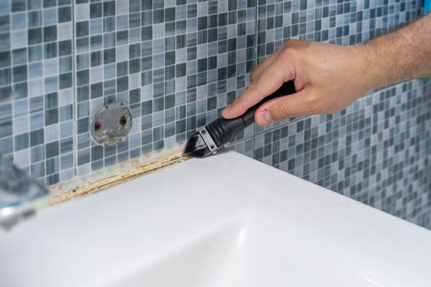 Best Bathroom Mold Remediation in Ridgefield, WA